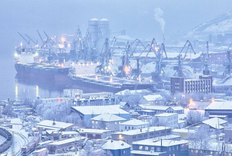 Госдума рассмотрит инициативу Мурманской области по увеличению производства консервов из печени трески