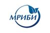 Regional innovation business incubator of Murmansk