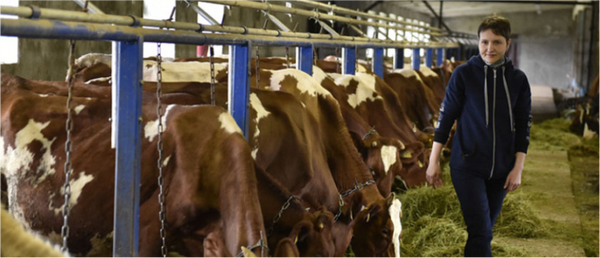 Семья из Пушного получила 2,5 млн на развитие молочной фермы