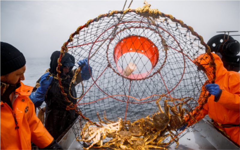 The AZRF resident delivered a live Murmansk crab to Moscow for the first time