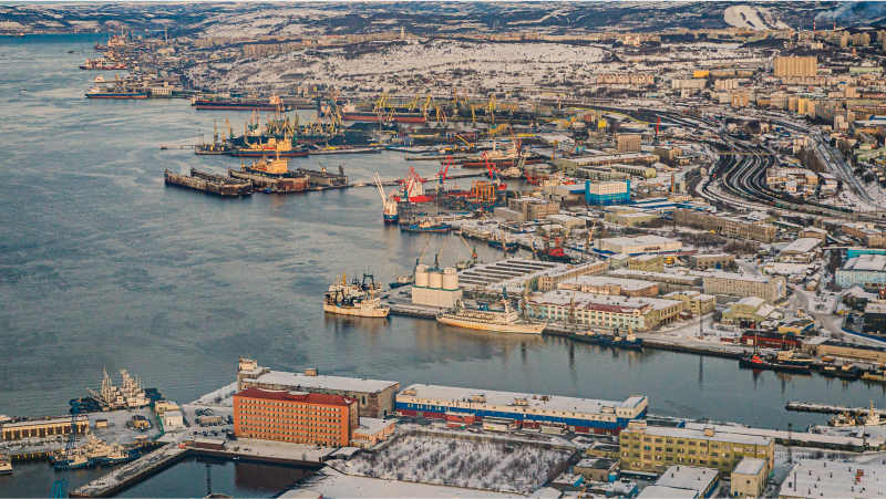 Four more companies from the Murmansk Region will become residents of the Russian Arctic