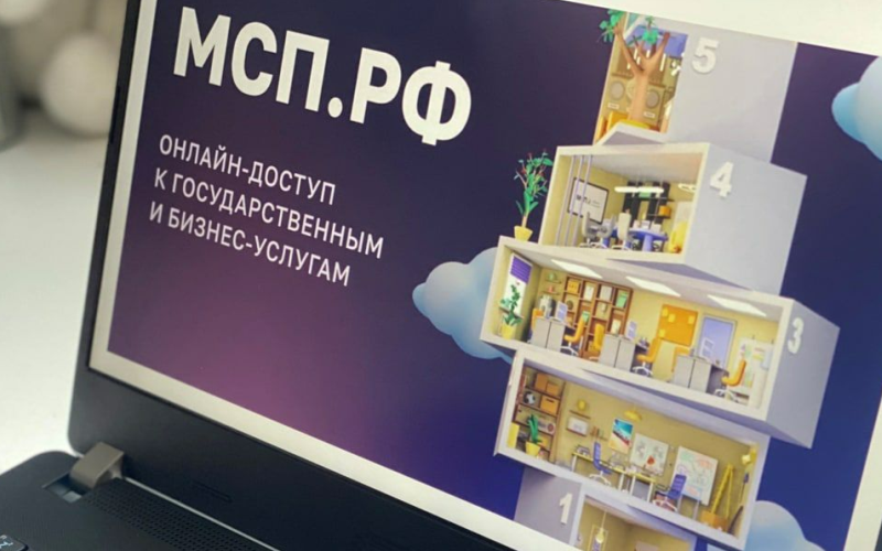 Итоги первого года работы цифровой платформы МСП.РФ