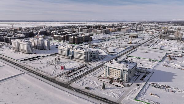 Андрей Чибис проведет выездное заседание Комиссии Госсовета РФ по направлению «Северный морской путь и Арктика»