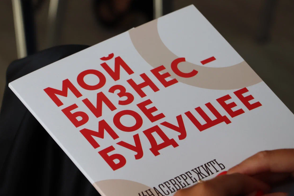 «Губернаторский старт»: программа грантов для бизнеса в Мурманской области расширяет возможности