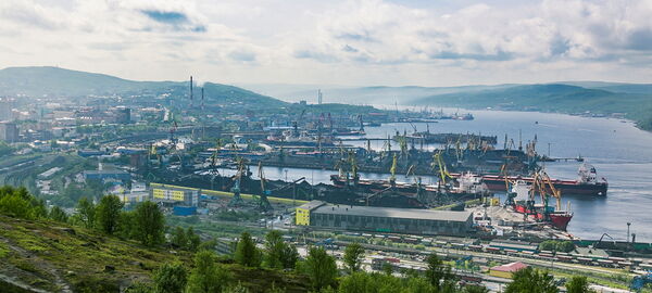 The terminal project near Murmansk should be developed within a year